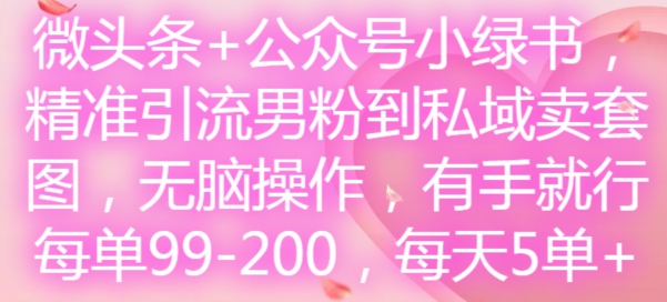 微头条+公众号小绿书,精准引流男粉到私域卖套图,无脑操作,有手就行,每单99-200,每天5单-遨游资源库