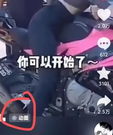 2024年7月苹果手机动图搬运技术-遨游资源库