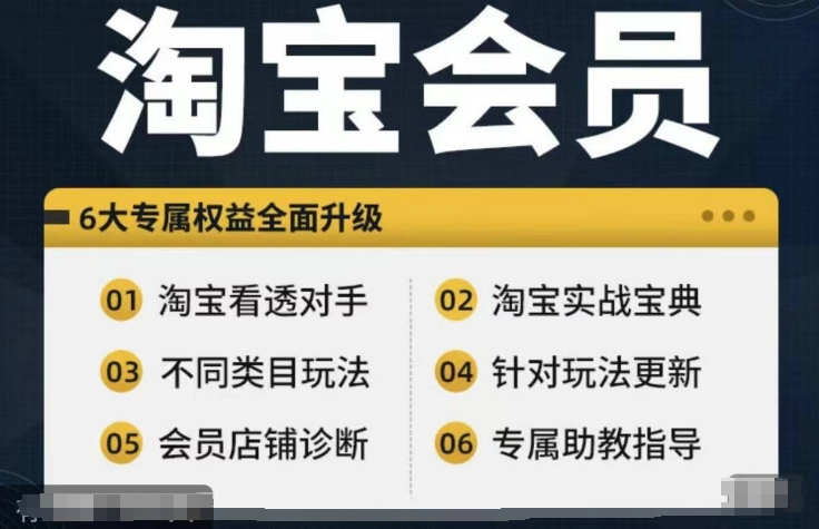 淘宝会员【淘宝所有课程，全面分析对手】，初级到高手全系实战宝典-遨游资源库