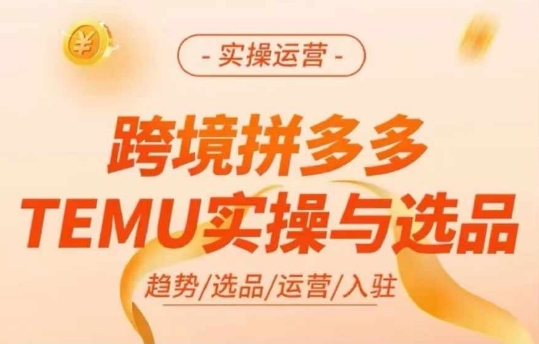 跨境拼多多TEMU实操与选品，多多temu跨境选品运营实操-遨游资源库