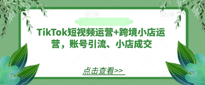 TikTok短视频运营+跨境小店运营，账号引流、小店成交-遨游资源库