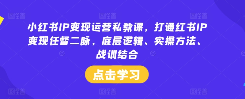 小红书IP变现运营私教课，打通红书IP变现任督二脉，底层逻辑、实操方法、战训结合-遨游资源库