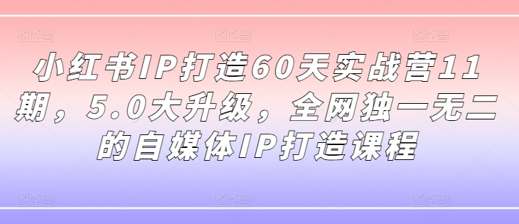 小红书IP打造60天实战营11期，5.0大升级，全网独一无二的自媒体IP打造课程-遨游资源库