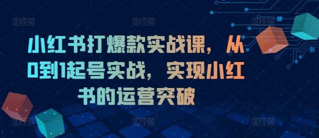 小红书打爆款实战课，从0到1起号实战，实现小红书的运营突破-遨游资源库