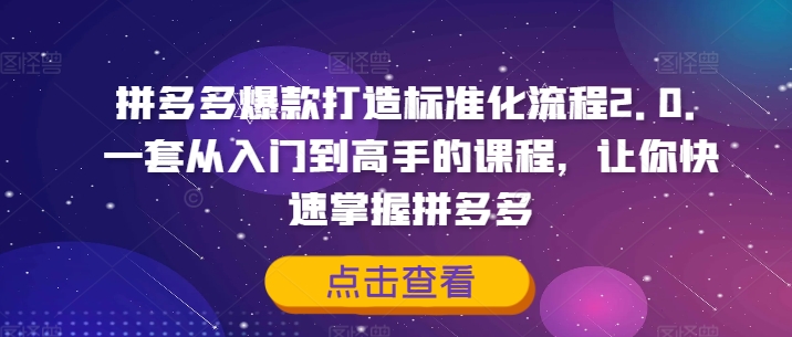 拼多多爆款打造标准化流程2.0，一套从入门到高手的课程，让你快速掌握拼多多-遨游资源库