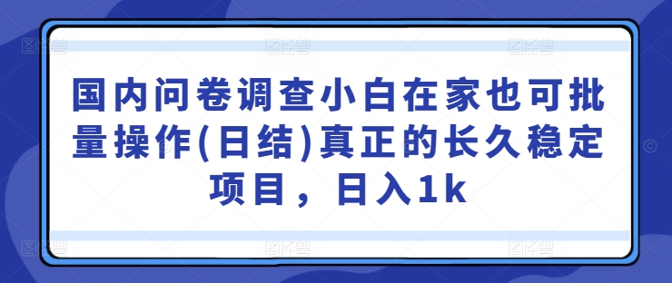国内问卷调查小白在家也可批量操作(日结)真正的长久稳定项目,日入1k【揭秘】-遨游资源库