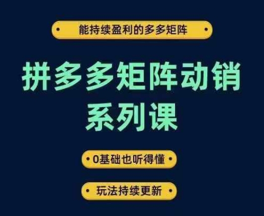 拼多多矩阵动销系列课，能持续盈利的多多矩阵，0基础也听得懂，玩法持续更新-遨游资源库