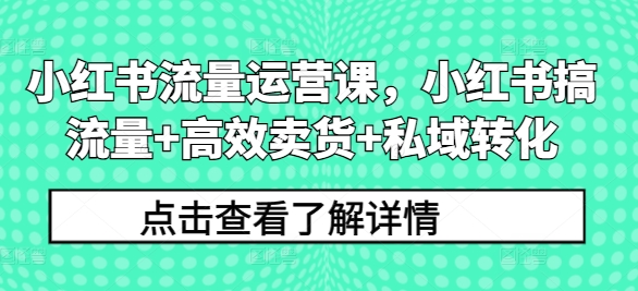 小红书流量运营课,小红书搞流量+高效卖货+私域转化-遨游资源库