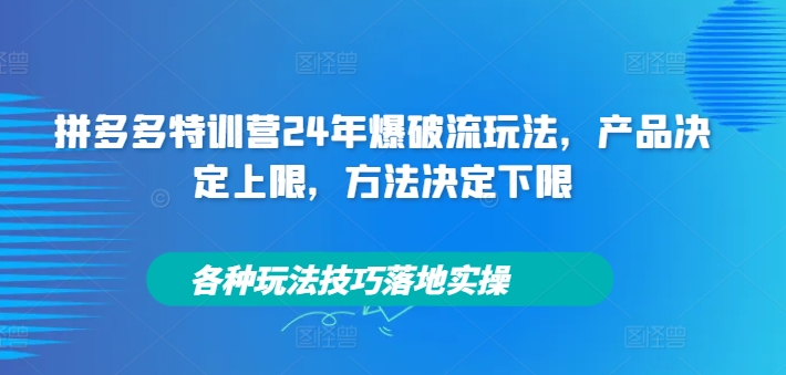 拼多多特训营24年爆破流玩法，产品决定上限，方法决定下限，各种玩法技巧落地实操-遨游资源库