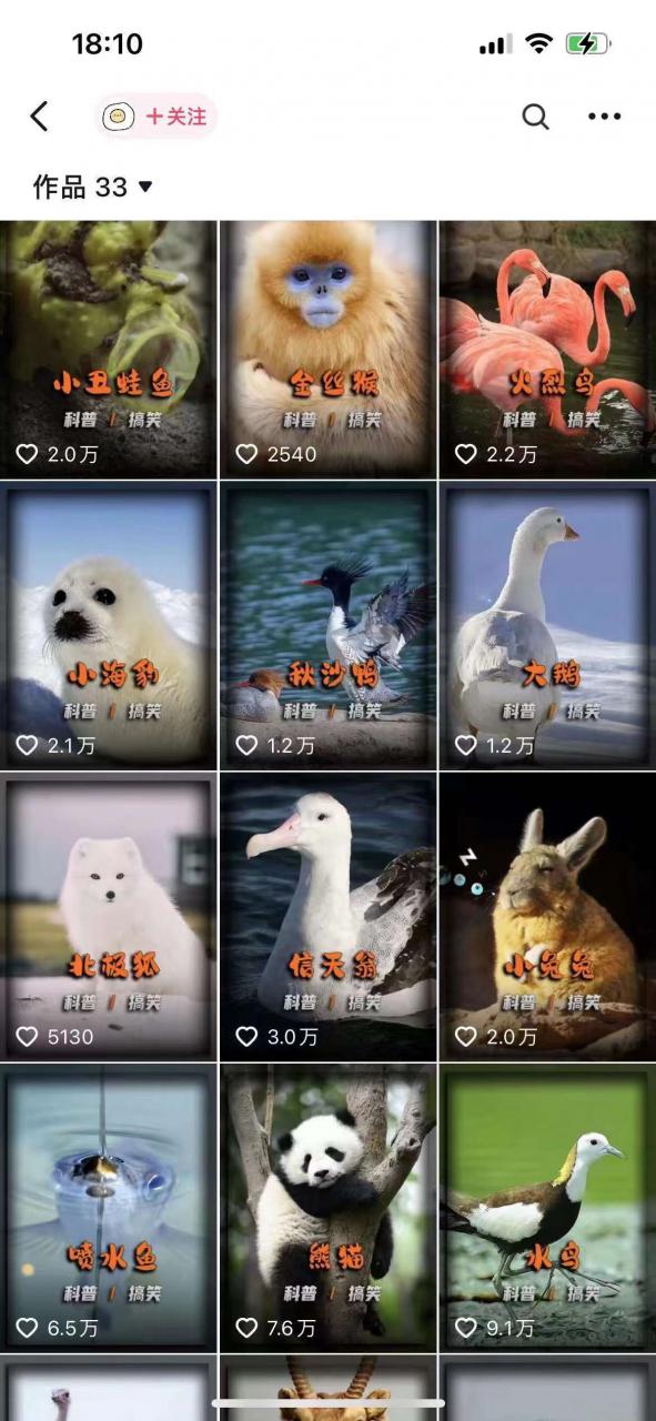 动物科普解说项目，撸创作者伙伴计划收益，保姆级实战教程-遨游资源库