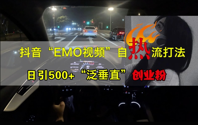 抖音EMO视频自热打法，日引500+“泛垂直”创业粉-遨游资源库