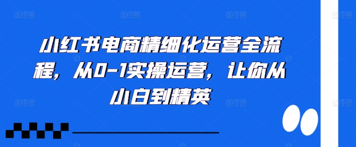 小红书电商精细化运营全流程,从0-1实操运营,让你从小白到精英-遨游资源库