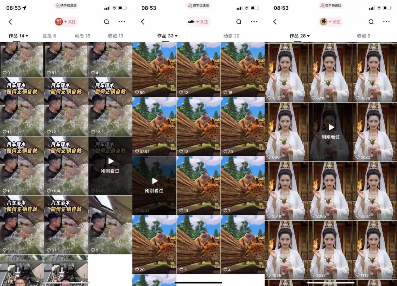 狗熊岭快手连怼技术，好物，涨粉都可以连怼-遨游资源库