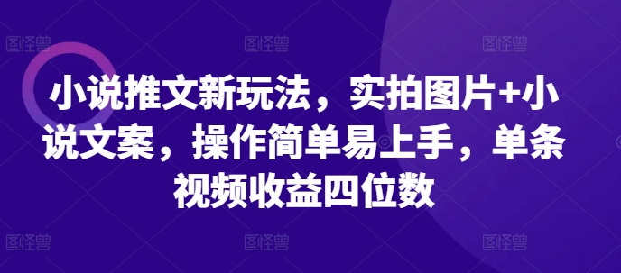 小说推文新玩法，实拍图片+小说文案，操作简单易上手，单条视频收益四位数-遨游资源库