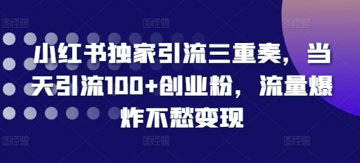 小红书独家引流三重奏，当天引流100+创业粉，流量爆炸不愁变现【揭秘】-遨游资源库