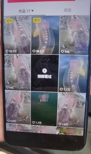 外面卖399的国学佛像原创暴力起号技术，快速起号，7天可达到一个万粉号-遨游资源库