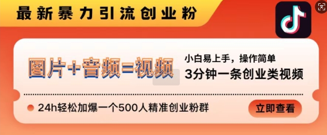 抖音最新暴力引流创业粉，3分钟一条创业类视频，24h轻松加爆一个500人精准创业粉群【揭秘】-遨游资源库