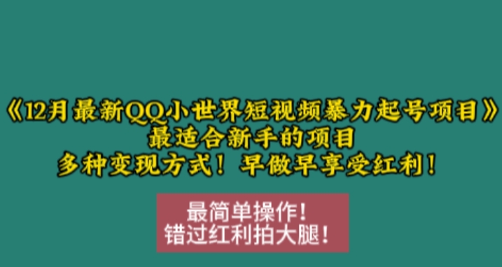 12月最新QQ小世界短视频暴力起号项目，最适合新手的项目，多种变现方式-遨游资源库