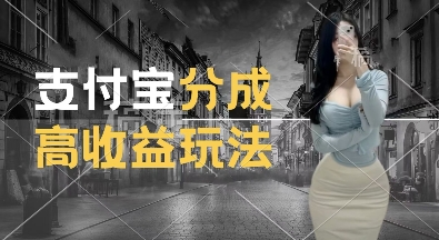 支付宝分成计划新玩法，利用交通事故视频，赚收益，轻松月入过W，操作简单【揭秘】-遨游资源库