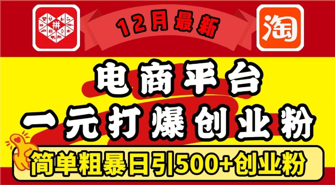 12月最新：电商平台1元打爆创业粉，简单粗暴日引500+精准创业粉，轻松月入过W【揭秘】-遨游资源库