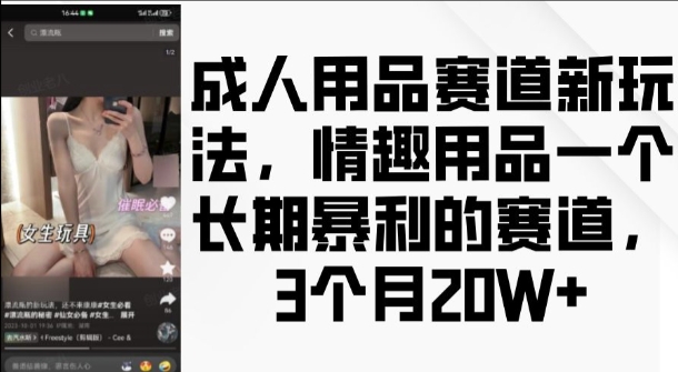 成人用品赛道新玩法，情趣用品一个长期暴利的赛道，3个月收益20个【揭秘】-遨游资源库