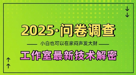 2025问卷调查最新工作室技术解密：一个人在家也可以闷声发大财，小白一天2张，可矩阵放大【揭秘】-遨游资源库