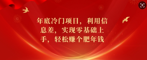 年底冷门项目，利用信息差，实现零基础上手，轻松赚个肥年钱【揭秘】-遨游资源库