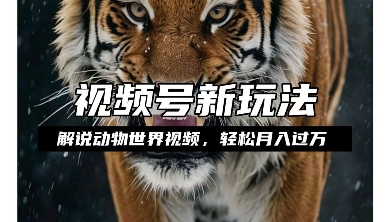 利用动物世界解说视频，赚分成计划收益，轻松月入过W，操作简单【揭秘】-遨游资源库