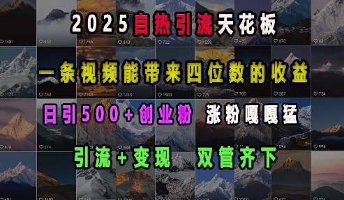 2025自热引流天花板，一条视频能带来四位数的收益，引流+变现双管齐下，日引500+创业粉，涨粉嘎嘎猛-遨游资源库