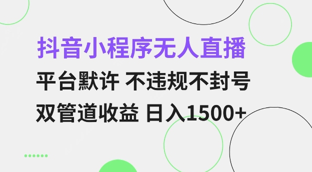 抖音小程序无人直播 平台默许 不违规不封号 双管道收益 日入多张 小白也能轻松操作【仅揭秘】-遨游资源库