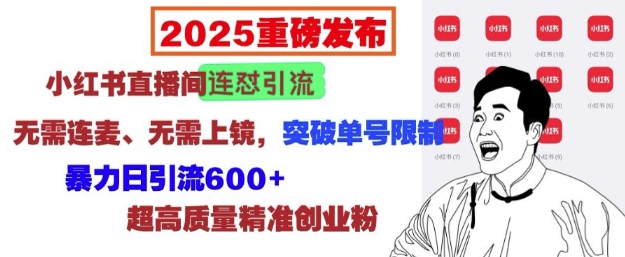 2025重磅发布：小红书直播间连怼引流，无需连麦、无需上镜，突破单号限制，暴力日引流600+-遨游资源库