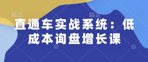 直通车实战系统：低成本询盘增长课，让个人通过技能实现升职加薪，让企业低成本获客，订单源源不断-遨游资源库