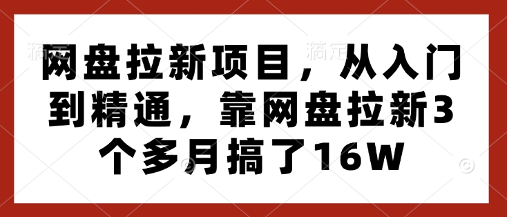 网盘拉新项目，从入门到精通，靠网盘拉新3个多月搞了16W-遨游资源库
