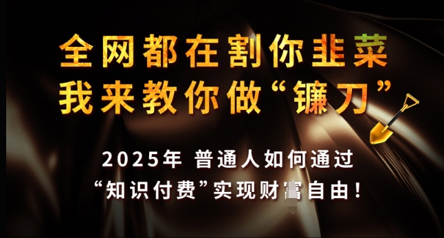 全网都在割你韭菜，我来教你做镰刀，2025年普通人如何通过 知识付费 实现财F自由【揭秘】-遨游资源库