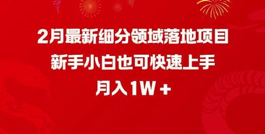 2月最新细分领域落地项目，新手小白也可快速上手，月入1W-遨游资源库