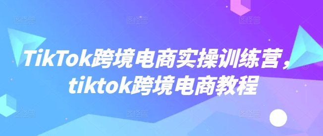 TikTok跨境电商实操训练营，tiktok跨境电商教程-遨游资源库