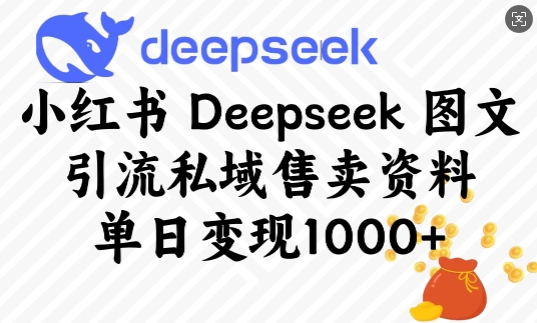 小红书Deepseek图文引流私域售卖资料，单日变现多张-遨游资源库