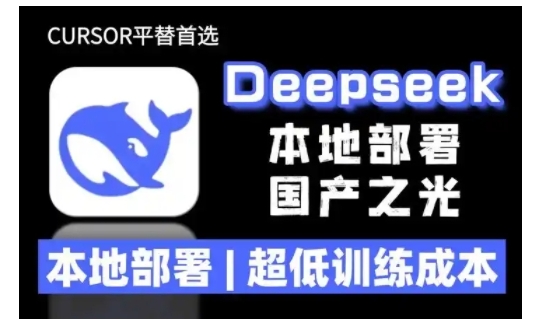 2025年deepseek R1 大型模型本地安装部署(文件+教程)本地部署，超低训练成本-遨游资源库