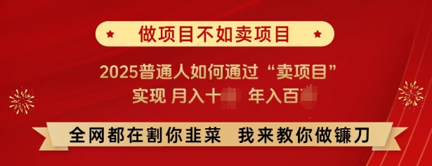 必看，做项目不如卖项目，2025普通人如何通过“卖项目”实现月入十个，年入百个-遨游资源库