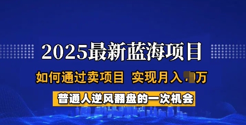 2025蓝海项目，普通人如何通过卖项目，实现月入过W，全过程【揭秘】-遨游资源库