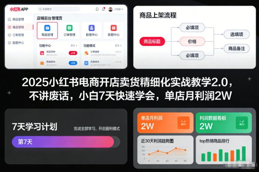 2025小红书电商开店卖货精细化实战教学2.0，不讲废话，小白7天快速学会，单店月利润2W-遨游资源库