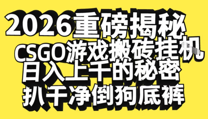 2026开年重磅解密，CSGO游戏搬砖挂G日入1k+的秘密，把倒狗的底裤扒干【揭秘】-遨游资源库