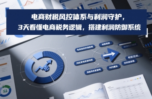 电商财税风控体系与利润守护，3天看懂电商税务逻辑，搭建利润防御系统-遨游资源库