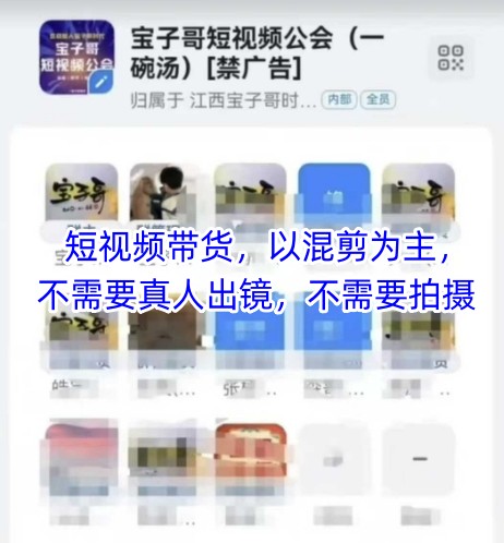 宝子哥头部团队短视频带货，以混剪为主，不需要真人出镜，不需要拍摄【更新26年3月】-遨游资源库