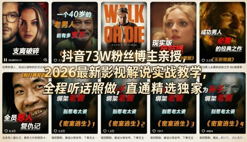 抖音73W粉丝博主亲授，2026最新影视解说实战教学，全程听话照做，直通精选独家-遨游资源库