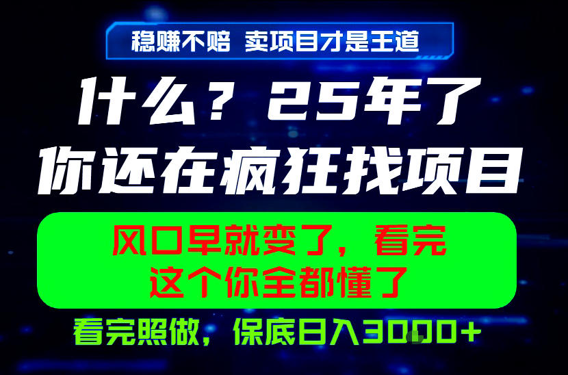 26年，请不要疯狂的找项目做了！卖项目才是真的稳賺不赔，看完照做，保底日入1k+【揭秘】-遨游资源库