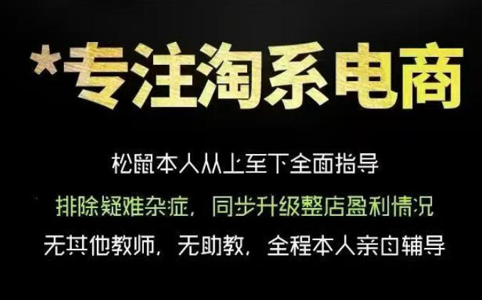 松鼠会电商VIP课程，从基础布局到高阶优化，助你掌握淘宝运营逻辑，提升店铺流量与转化-遨游资源库