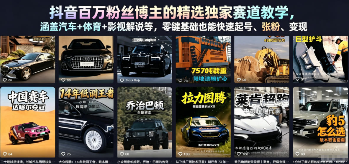 抖音百万粉丝博主的精选独家赛道教学，涵盖汽车+体育+影视解说等，零基础也能快速起号、涨粉、变现-遨游资源库