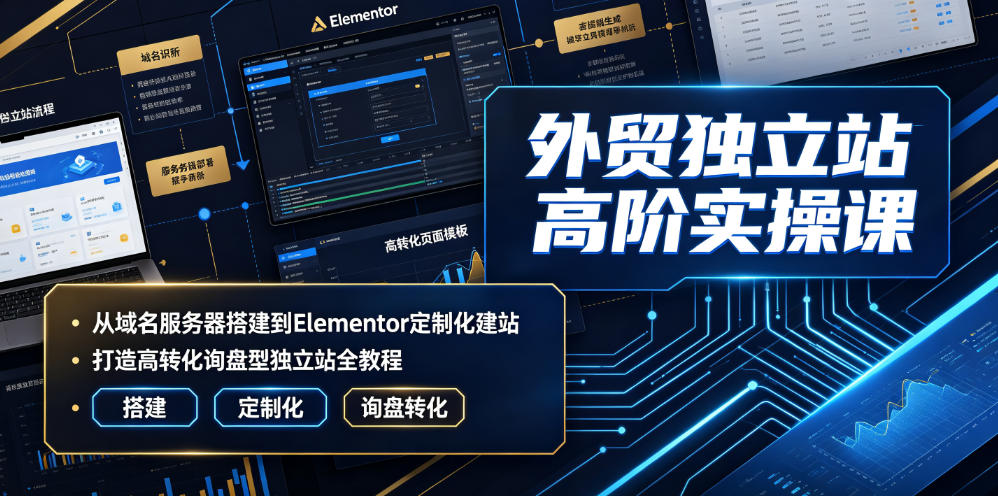 外贸独立站高阶实操课｜从域名服务器搭建到Elementor定制化建站，打造高转化询盘型独立站全教程-遨游资源库