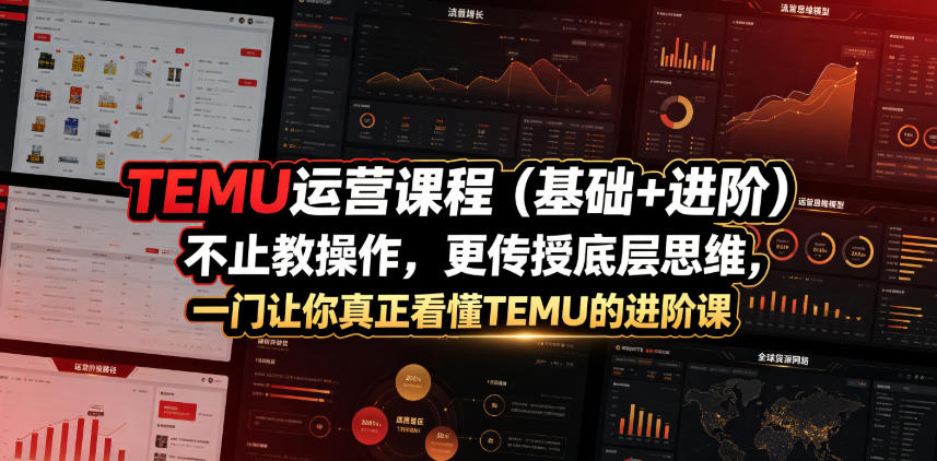 TEMU运营课程（基础+进阶），不止教操作，更传授底层思维，一门让你真正看懂TEMU的进阶课-遨游资源库